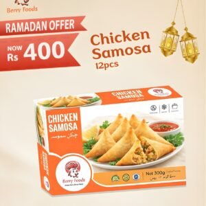 Chicken Samosa